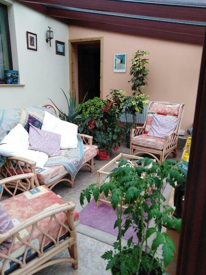Catherine'S Lair A Quiet Peaceful Homestay ويستبورت المظهر الخارجي الصورة